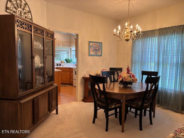 141 Forest Hill Drive