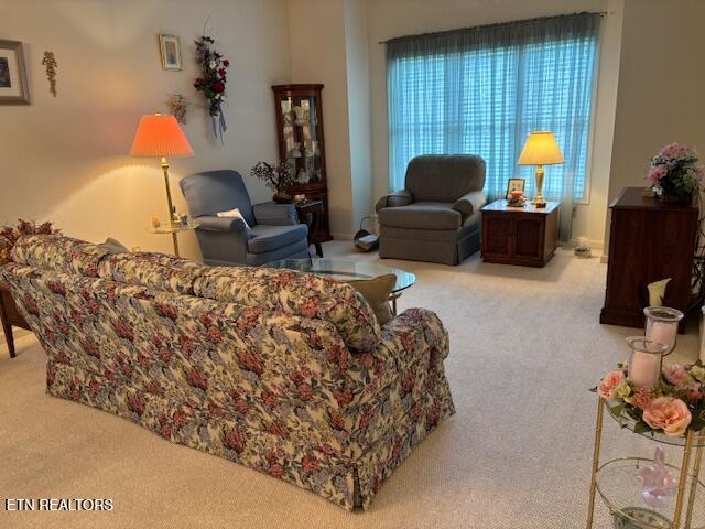 141 Forest Hill Drive