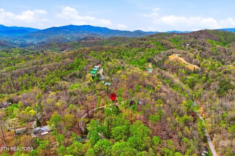 Tiny photo for 640 Carter Plaza, Gatlinburg, TN 37738 (MLS # 1336248)