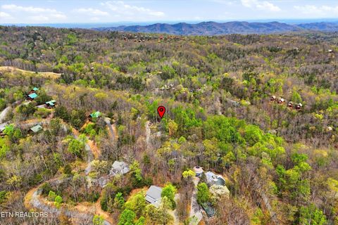 Tiny photo for 640 Carter Plaza, Gatlinburg, TN 37738 (MLS # 1336248)