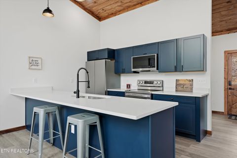 Tiny photo for 640 Carter Plaza, Gatlinburg, TN 37738 (MLS # 1336248)