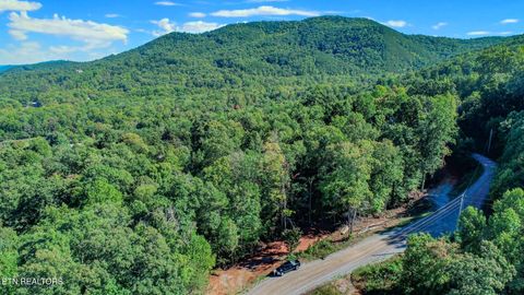 Tiny photo for 1282 Applewood Rd Rd, Newport, TN 37821 (MLS # 1317975)