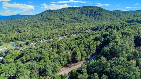 Tiny photo for 1282 Applewood Rd Rd, Newport, TN 37821 (MLS # 1317975)