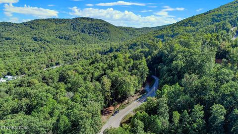 Tiny photo for 1282 Applewood Rd Rd, Newport, TN 37821 (MLS # 1317975)