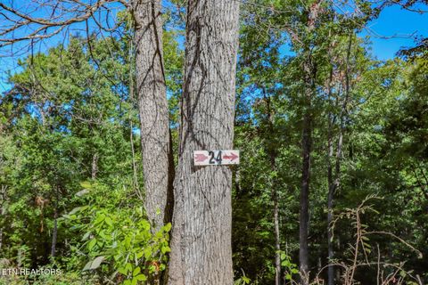 Tiny photo for 1282 Applewood Rd Rd, Newport, TN 37821 (MLS # 1317975)