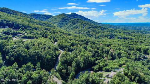 Tiny photo for 1282 Applewood Rd Rd, Newport, TN 37821 (MLS # 1317975)