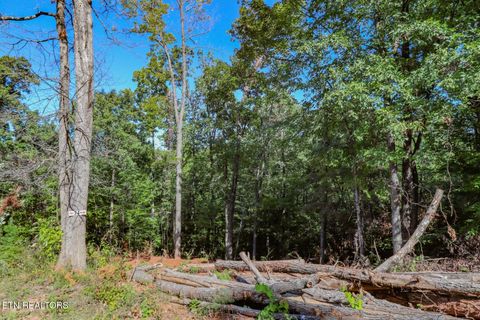 Tiny photo for 1282 Applewood Rd Rd, Newport, TN 37821 (MLS # 1317975)