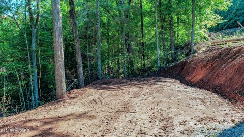 Tiny photo for 1282 Applewood Rd Rd, Newport, TN 37821 (MLS # 1317975)