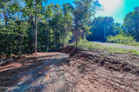 Tiny photo for 1282 Applewood Rd Rd, Newport, TN 37821 (MLS # 1317975)