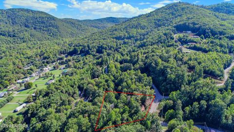 Photo of 1282 Applewood Rd Rd, Newport, TN 37821 (MLS # 1317975)