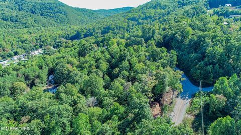 Tiny photo for 1282 Applewood Rd Rd, Newport, TN 37821 (MLS # 1317975)