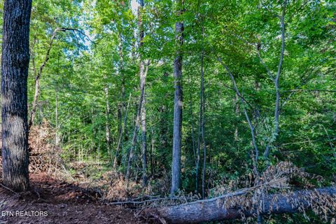 Tiny photo for 1282 Applewood Rd Rd, Newport, TN 37821 (MLS # 1317975)