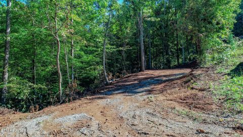 Tiny photo for 1282 Applewood Rd Rd, Newport, TN 37821 (MLS # 1317975)