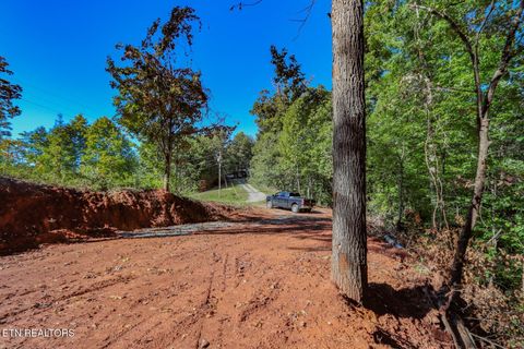 Tiny photo for 1282 Applewood Rd Rd, Newport, TN 37821 (MLS # 1317975)