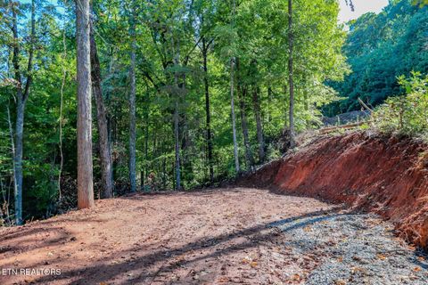 Tiny photo for 1282 Applewood Rd Rd, Newport, TN 37821 (MLS # 1317975)