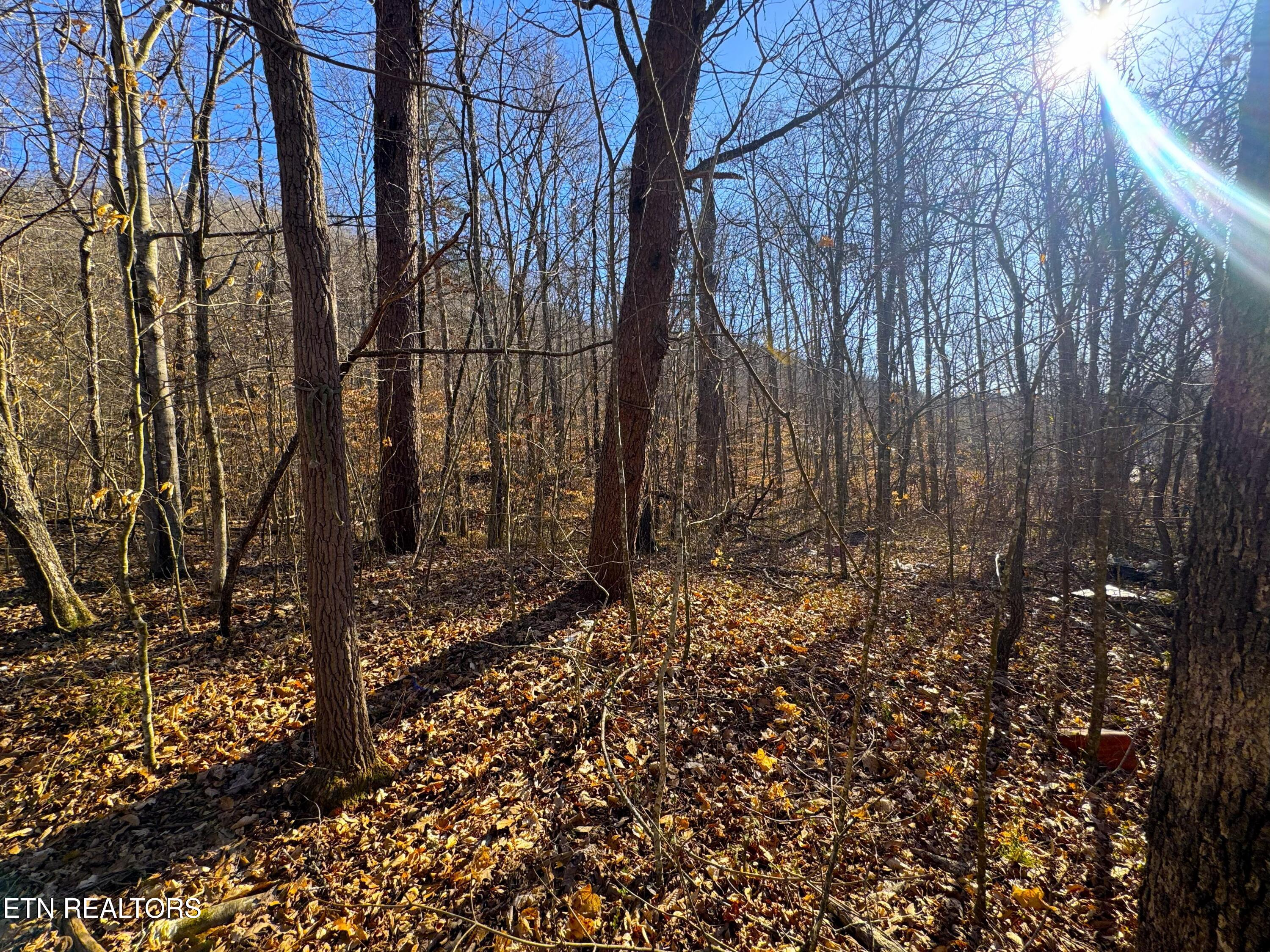 8.30 acres Wolfenbarger Lane