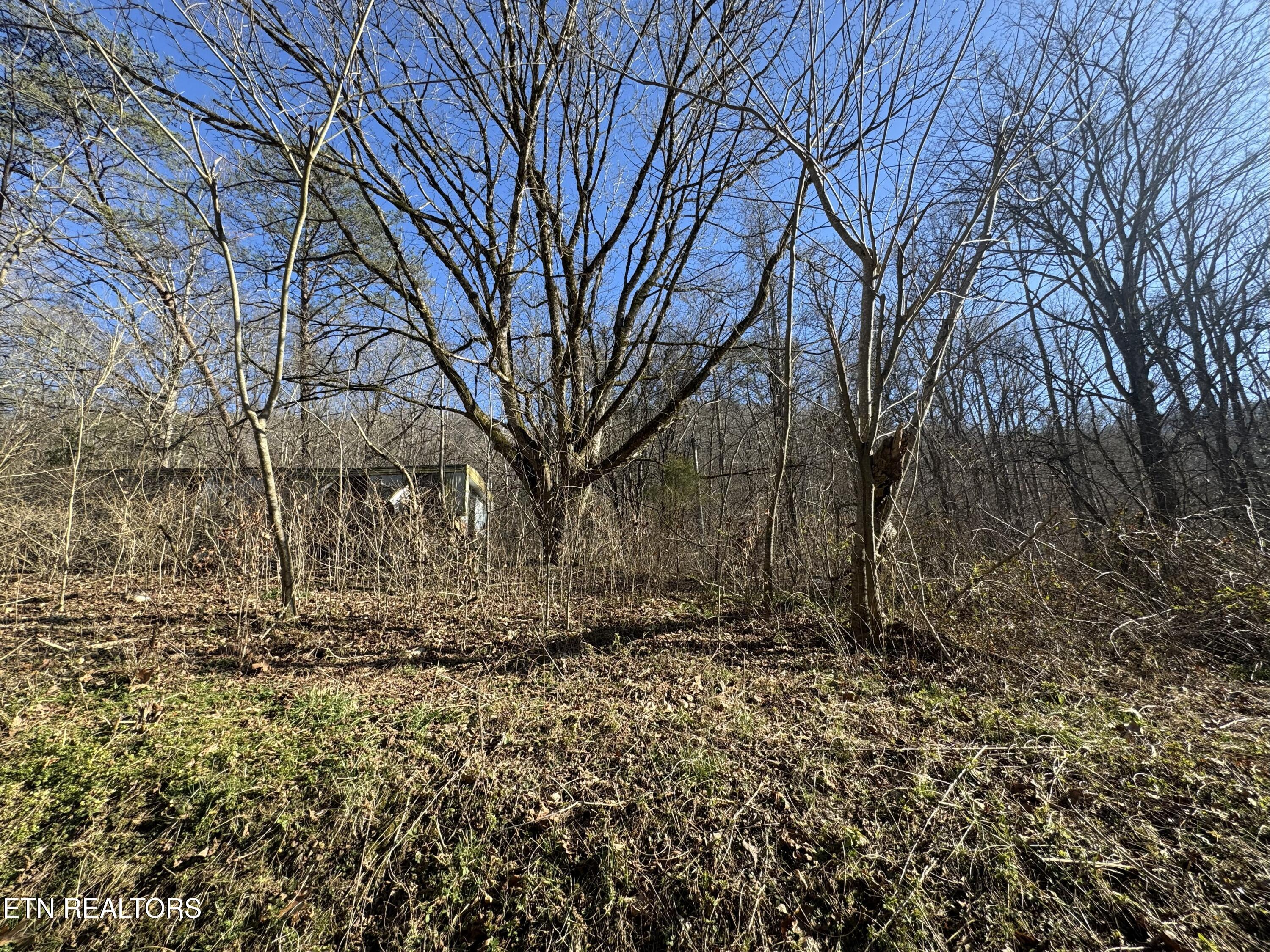 8.30 acres Wolfenbarger Lane