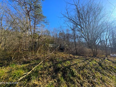 8.30 acres Wolfenbarger Lane Luttrell TN 37779