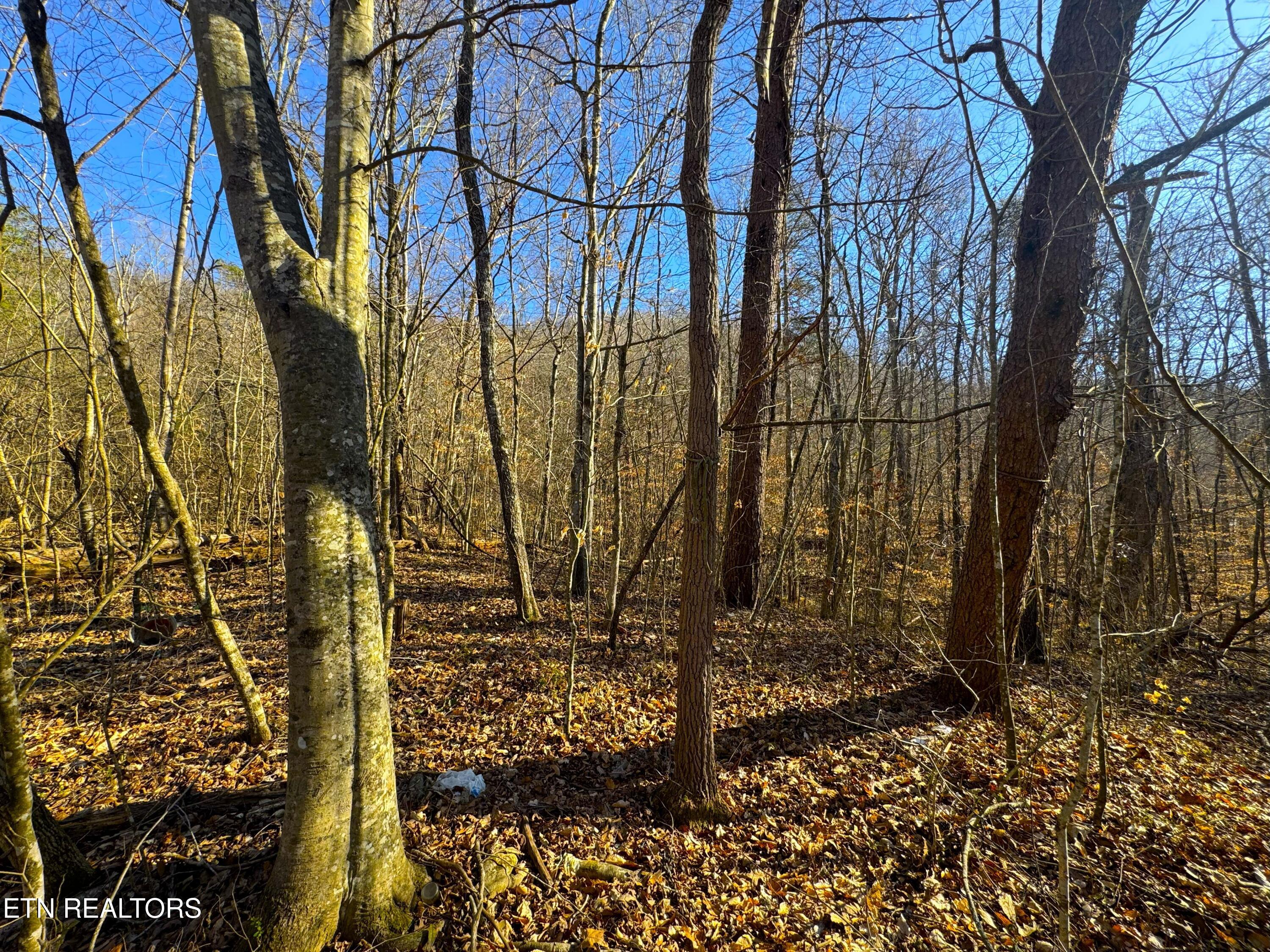 8.30 acres Wolfenbarger Lane