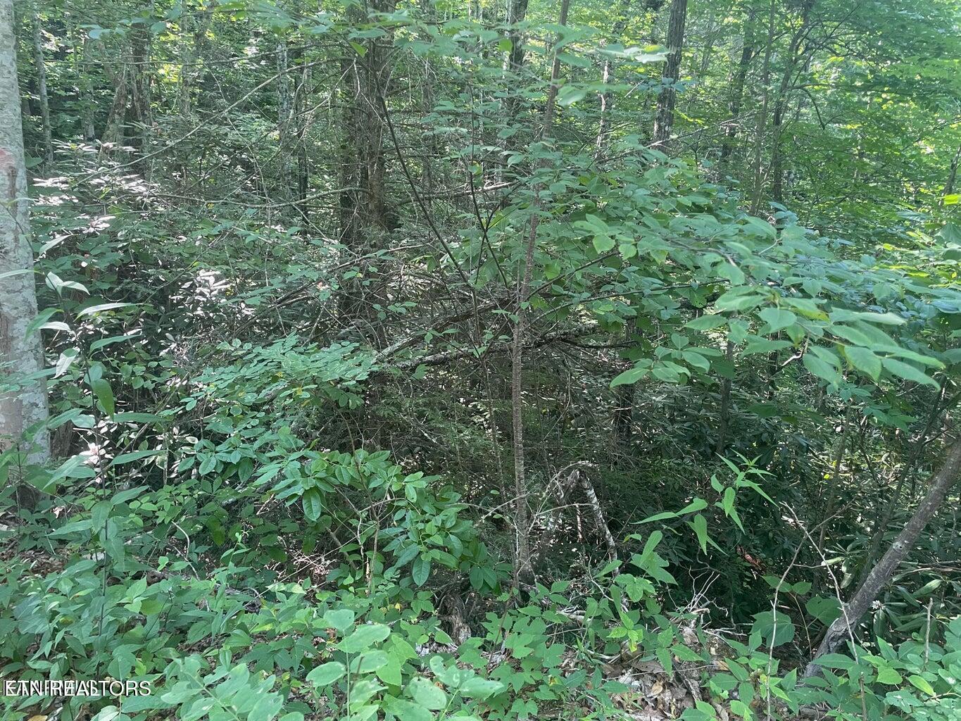 Lot 89 Sycamore St