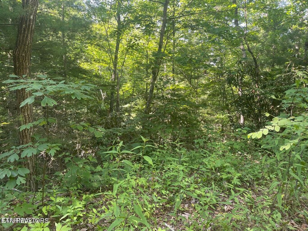 Photo of 89 Sycamore St, Sevierville, TN 37876 (MLS # 1285907)