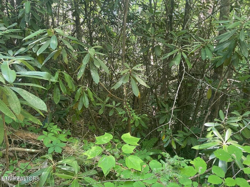 Photo of 89 Sycamore St, Sevierville, TN 37876 (MLS # 1285907)