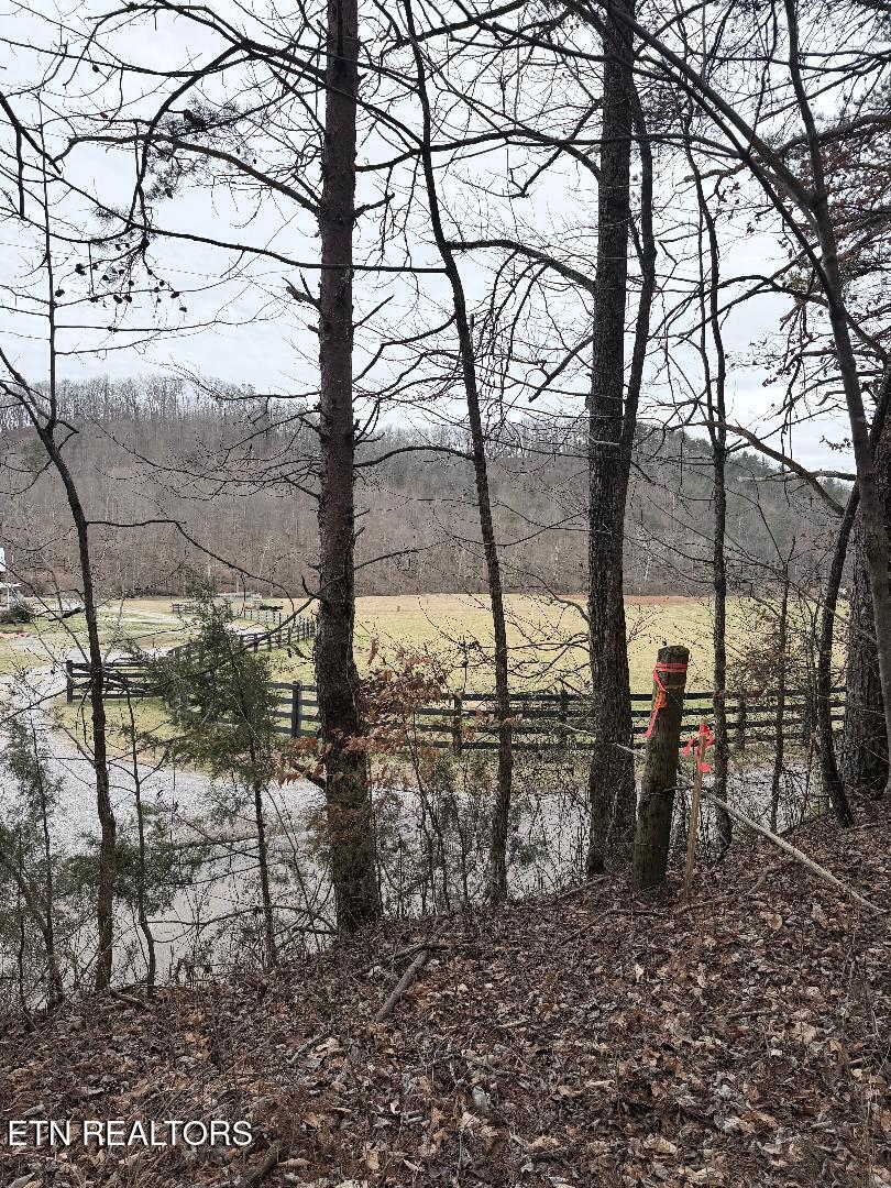 .73 acres Tarklin Valley Rd