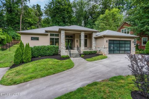 Photo of 4037 SW Hiawatha Drive, Knoxville, TN 37919 (MLS # 1335485)