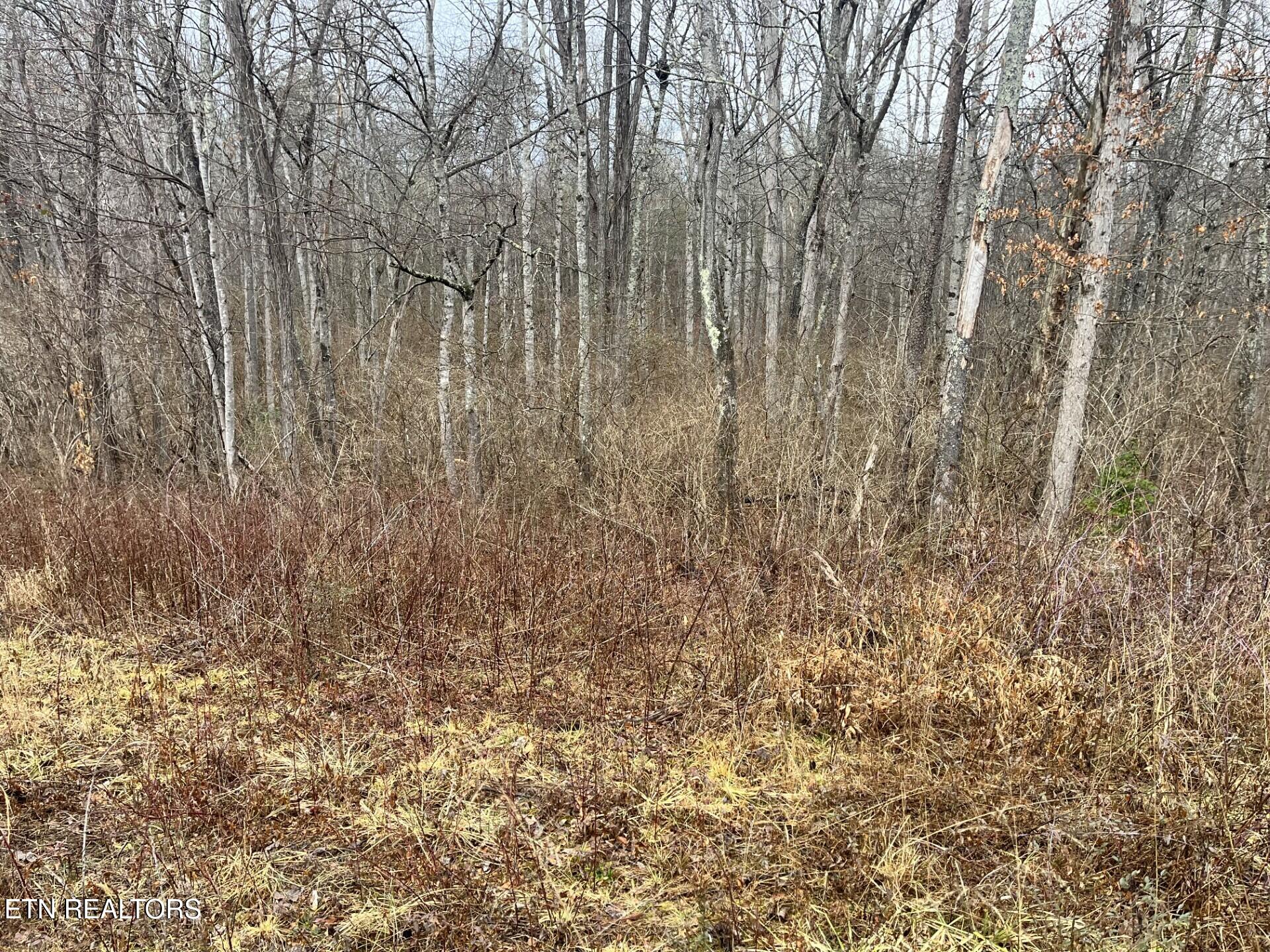 South Main St. - 31 Acres