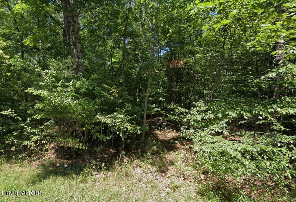 Photo of 2025 Menasha Drive Drive, Crossville, TN 38572 (MLS # 1326480)