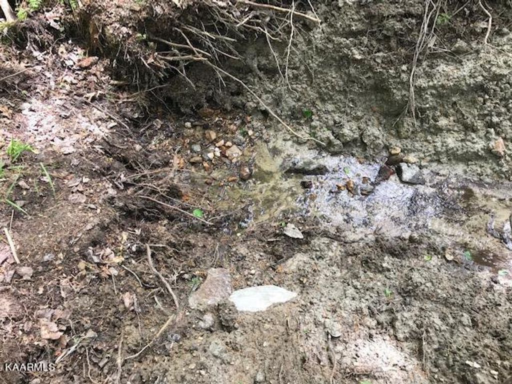 Photo of 355 Smithfield Rd Rd, Tellico Plains, TN 37385 (MLS # 1227051)