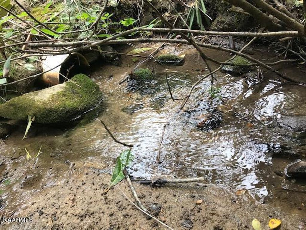 Photo of 355 Smithfield Rd Rd, Tellico Plains, TN 37385 (MLS # 1227051)