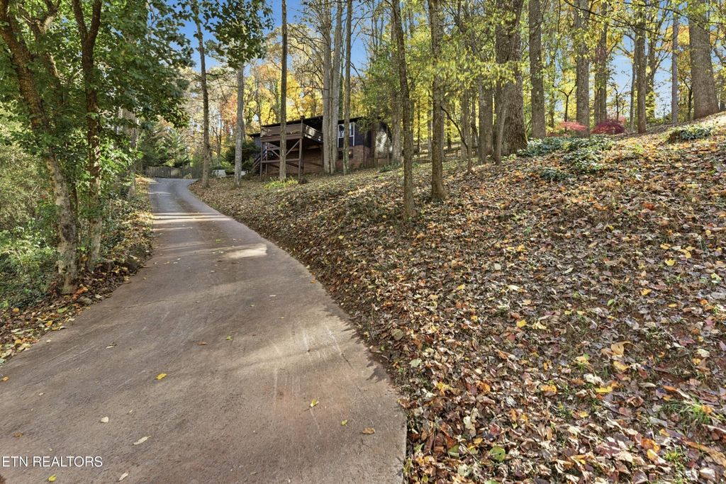 Photo of 1429 Crestwood Drive, Louisville, TN 37777 (MLS # 1321871)
