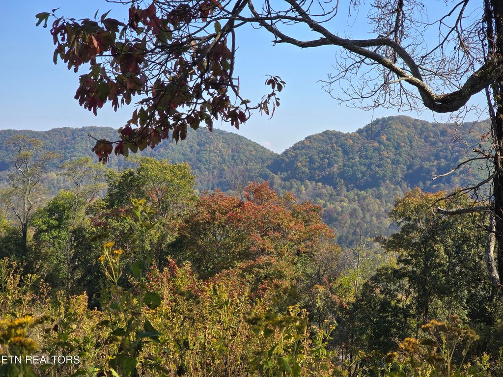 Photo of TBD COPPER RIDGE Rd, Eidson, TN 37731 (MLS # 1319729)