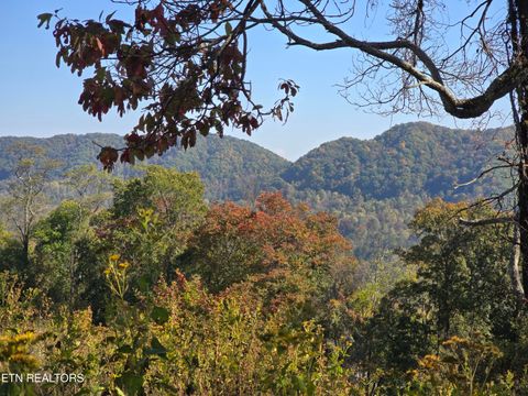 Photo of TBD COPPER RIDGE Rd, Eidson, TN 37731 (MLS # 1319729)