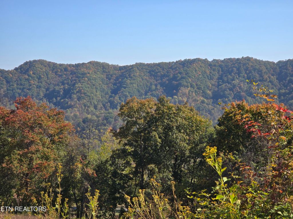 Photo of TBD COPPER RIDGE Rd, Eidson, TN 37731 (MLS # 1319729)