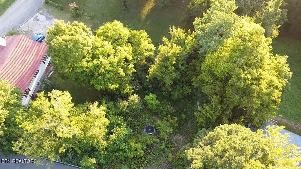 Photo of 141 Blazer St, Newport, TN 37821 (MLS # 1353405)