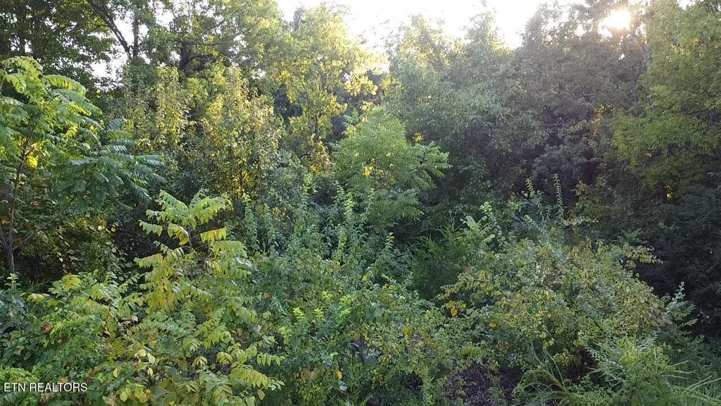 Photo of 141 Blazer St, Newport, TN 37821 (MLS # 1353405)