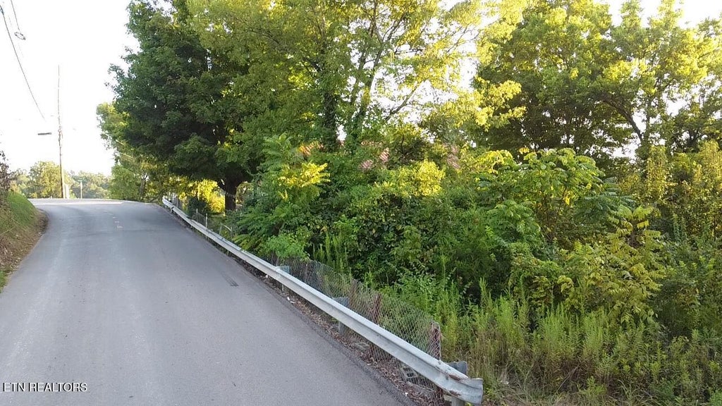 Photo of 141 Blazer St, Newport, TN 37821 (MLS # 1353405)