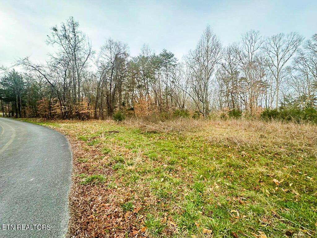 Photo of 1102 Mountain View Lane, Baneberry, TN 37890 (MLS # 1293785)