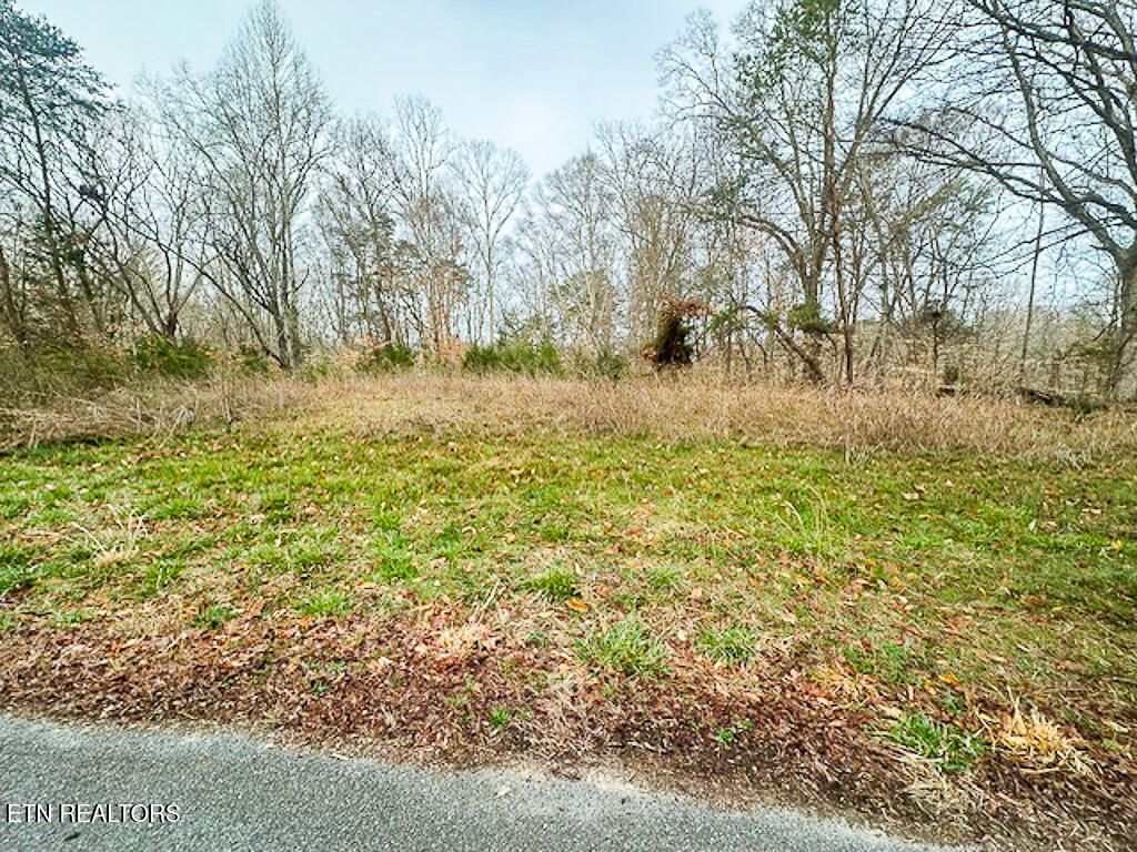 Photo of 1102 Mountain View Lane, Baneberry, TN 37890 (MLS # 1293785)