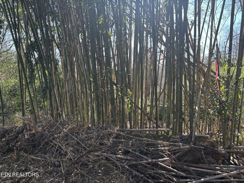 Photo of 1153 Army St, Knoxville, TN 37920 (MLS # 1327115)