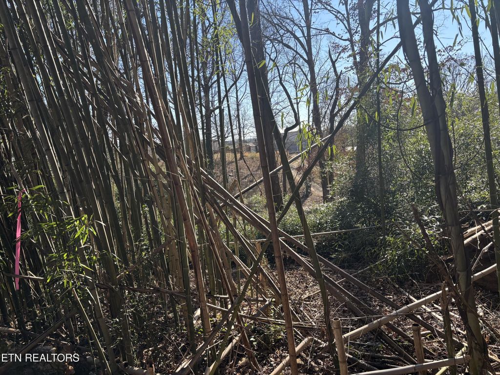 Photo of 1153 Army St, Knoxville, TN 37920 (MLS # 1327115)