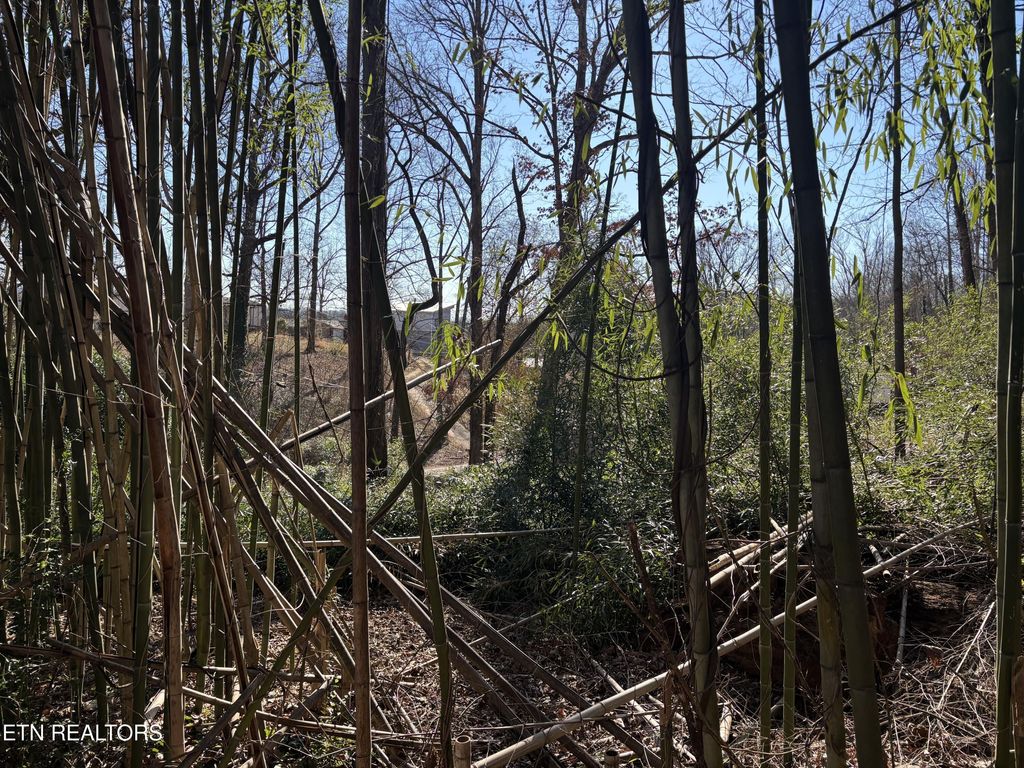 Photo of 1153 Army St, Knoxville, TN 37920 (MLS # 1327115)