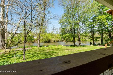 Tiny photo for 7539 W Old Highway 73, Townsend, TN 37882 (MLS # 1341550)