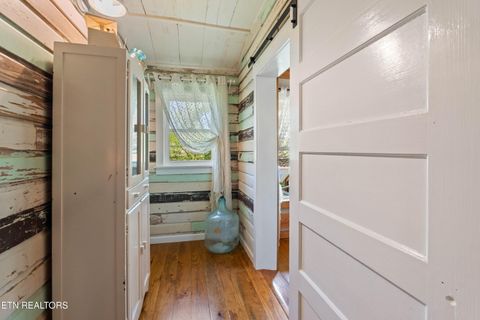 Tiny photo for 7539 W Old Highway 73, Townsend, TN 37882 (MLS # 1341550)