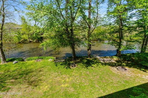 Tiny photo for 7539 W Old Highway 73, Townsend, TN 37882 (MLS # 1341550)