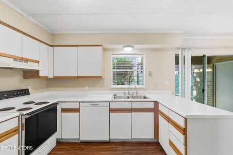 Tiny photo for 8503 Ankara Court, Knoxville, TN 37923 (MLS # 1357383)