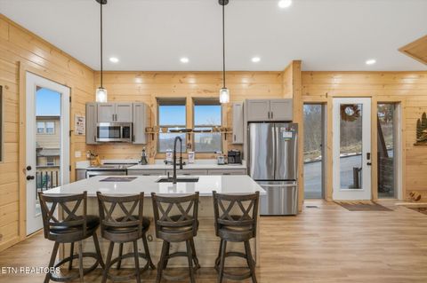 Tiny photo for 610 Butterfly Way, Sevierville, TN 37876 (MLS # 1328920)