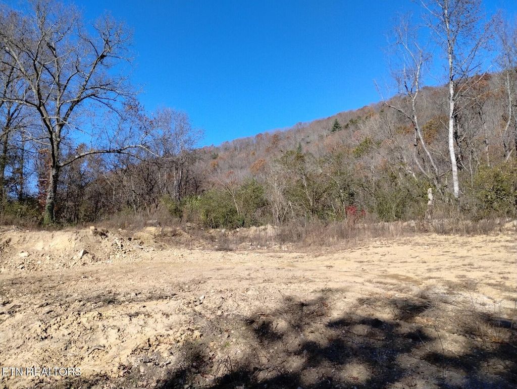 Photo of 422 Bass St, Oliver Springs, TN 37840 (MLS # 1284298)